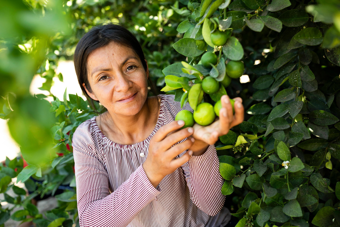 A woman with her hair pulled back presents bright green limes growing on a tree.